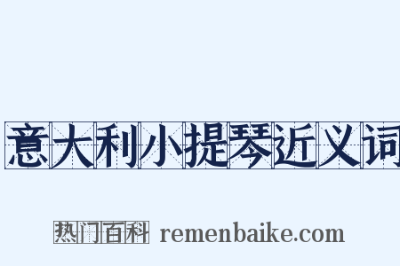 意大利小提琴近义词是什么意思的图片